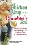 Chicken Soup for the Grandma's Soul cover