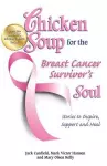 Chicken Soup for the Breast Cancer Survivor's Soul cover