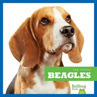 Beagles cover