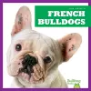 French Bulldogs cover