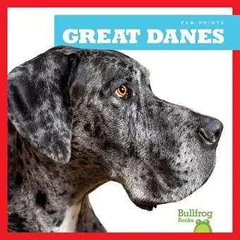 Great Danes cover