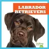 Labrador Retrievers cover