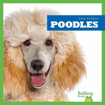 Poodles cover