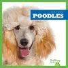 Poodles cover