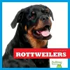 Rottweilers cover