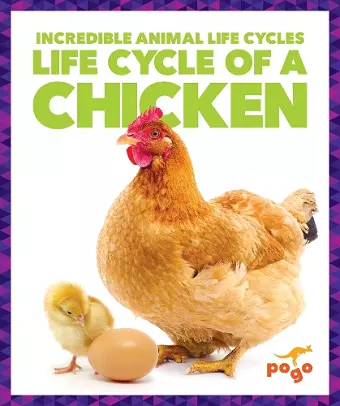 Life Cycle of a Chicken cover