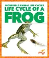 Life Cycle of a Frog cover