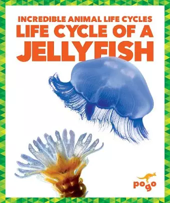 Life Cycle of a Jellyfish cover