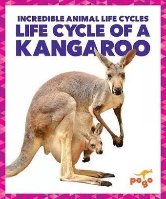 Life Cycle of a Kangaroo cover