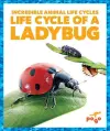 Life Cycle of a Ladybug cover