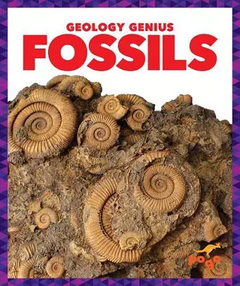 Fossils cover