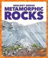 Metamorphic Rocks cover