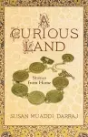 A Curious Land cover