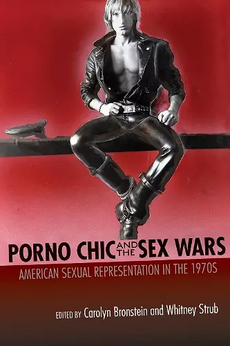 Porno Chic and the Sex Wars cover