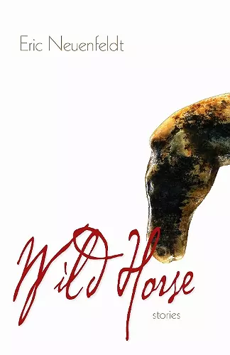 Wild Horse cover