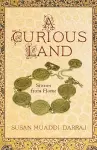 A Curious Land cover
