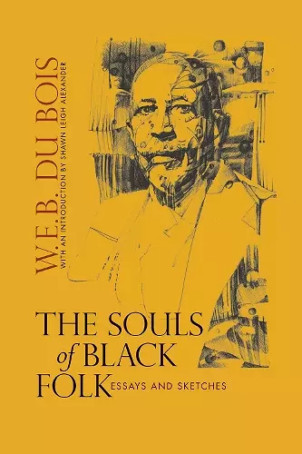 The Souls of Black Folk cover