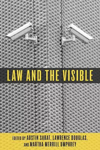 Law and the Visible cover