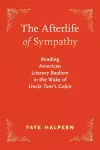 The Afterlife of Sympathy cover