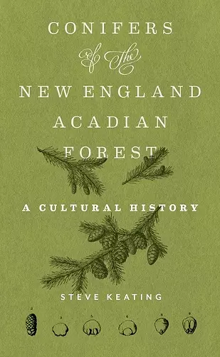 Conifers of the New England–Acadian Forest cover