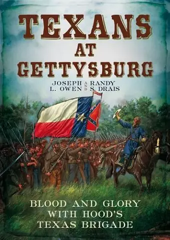 Texans at Gettysburg cover