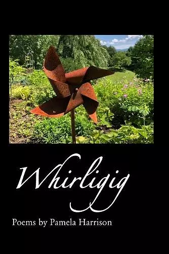 Whirligig cover