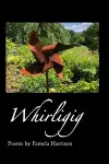 Whirligig cover