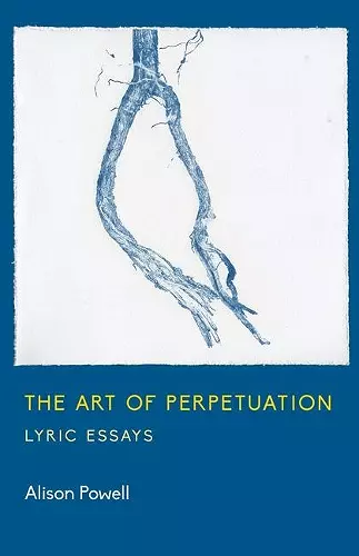 The Art of Perpetuation cover