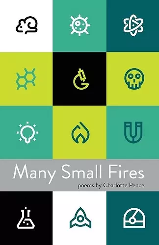 Many Small Fires cover