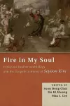 Fire in My Soul cover