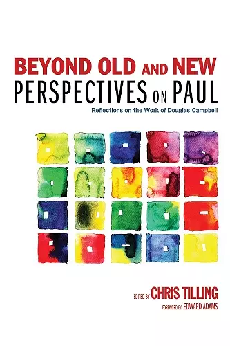 Beyond Old and New Perspectives on Paul cover