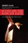 If You Are the Son of God cover