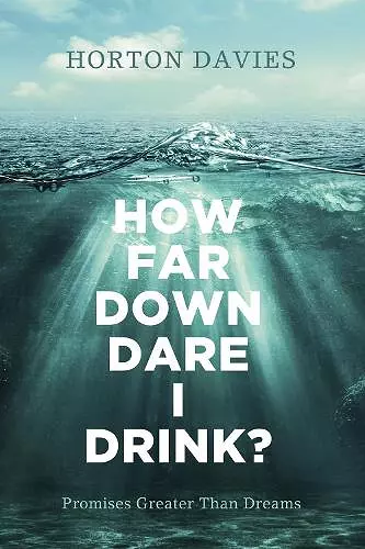 How Far Down Dare I Drink? cover