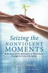 Seizing the Nonviolent Moments cover