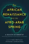 The African Renaissance and the Afro-Arab Spring cover