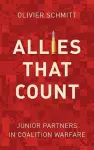 Allies That Count cover