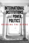 International Institutions and Power Politics cover