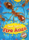 Fire Ants cover