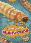 Mealworms cover