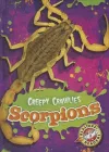 Scorpions cover