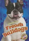 French Bulldogs cover