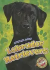 Labrador Retrievers Labrador Retrievers cover