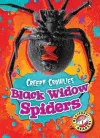 Black Widow Spiders cover
