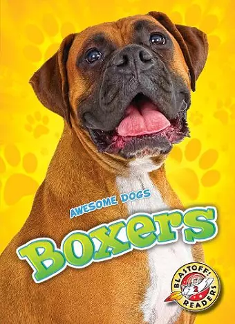 Boxers cover