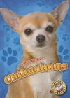 Chihuahuas cover