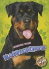 Rottweilers cover