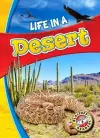 Life in a Desert cover