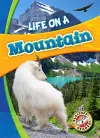 Life in a Mountain cover