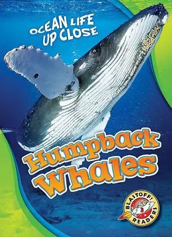 Humpback Whales cover