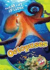 Octopuses cover